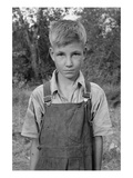 Squatter Boy Poster by Dorothea Lange