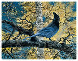 Regal Blue Prints by Andrew Kiss