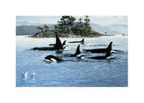 Passing Through-Orcas Posters by Andrew Kiss