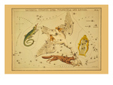 Lacerta, Cygnus, Lyra, Vulpecula and Anser Posters by Aspin Jehosaphat