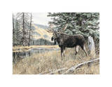 Chilcotin Country Print by Andrew Kiss