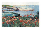 Poppies, Isle of Shoals Posters par Frederick Childe Hassam