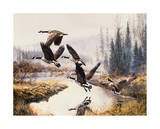Geese- Fall Flight Art by Andrew Kiss