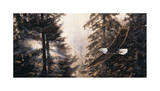 Mystic Solitude- Eagle Poster by Andrew Kiss