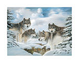 Wold Pack Print by Amneris Fernandez