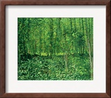 Woods and Undergrowth, c.1887 Framed Giclee Print by Vincent van Gogh