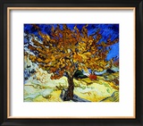 Mulberry Tree, c.1889 Framed Giclee Print by Vincent van Gogh
