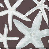Starfish on Brown Stretched Canvas Print