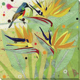 Hummingbird 2 Stretched Canvas Print