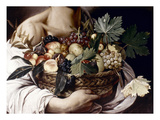 Caravaggio: Fruit Giclee Print by Caravaggio 