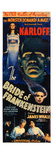 Bride of Frankenstein 1935 Giclee Print