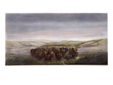 Buffalo Herd, 1862 Giclee Print by William Jacob Hays