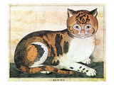Folk Art: Cat Giclee Print by George White