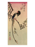 Magpie, 19th Century Giclee Print by Ando Hiroshige