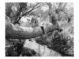 Silent Film Still: Animal Giclee Print