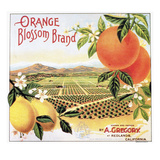 Crate Label, 20th Century Giclee Print
