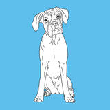 Boxer Print by Anna Nyberg