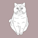 Fat Angry Cat Prints by Anna Nyberg