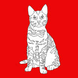 Tabby Cat Prints by Anna Nyberg