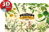 Nostalgic Pharmacy Naturally Healthy Cartel de chapa
