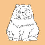 Surprised Cat Art by Anna Nyberg