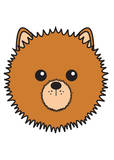 Pomeranian Prints