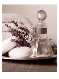 Soap Tray Giclee Print by Julie Greenwood