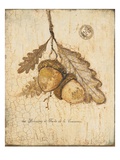 Gilded Oak Giclee Print by Arnie Fisk