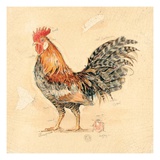 Espresso Plumage Detail Giclee Print by Chad Barrett