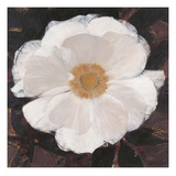 Magical White Cosmos Giclee Print by Ivo 