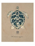 Vintage Linen Tortoise Giclee Print by Regina-Andrew Design 