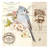 Bird Sketch 4 Giclee Print by Chad Barrett