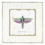 Winged Grasshopper Giclee Print by Jan Cooley