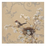 Kinglet and Pear Giclee Print by Jill Schultz McGannon