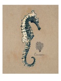 Vintage Linen Seahorse Giclee Print by Regina-Andrew Design 