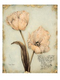 Tulip Recollection Giclee Print by Regina-Andrew Design 