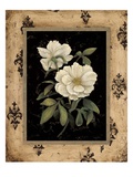 Silver Peony Giclee Print by Regina-Andrew Design 