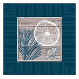 Coastal Bliss Giclee Print by Sam Appleman