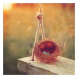 Swing and Nest Giclee Print by Mandy Lynne