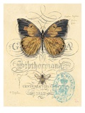 Honeybee Papillon Giclee Print by Chad Barrett