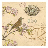 Nature's Observations 1 Reproduction procédé giclée par Chad Barrett