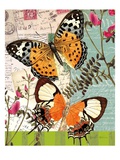 Bountiful Butterfly 1 Giclee Print by Walter Robertson