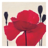 Ruby Giclee Print by Ivo Stoyanov