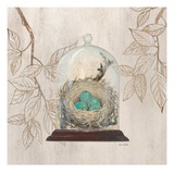 Aviary Museum Reproduction procédé giclée par Arnie Fisk