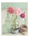 Blooming Bottles Gicléedruk van Mandy Lynne