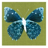 Green Pop Butterfly Giclee Print by Christine Caldwell