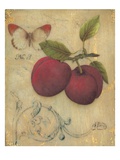 Plum Recollection Giclee Print by Regina-Andrew Design 