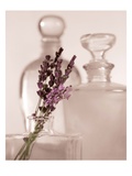 Lavender Detail Giclee Print by Julie Greenwood