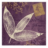 Lavender Laurel Giclee Print by Booker Morey
