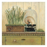 Vintage Garden 2 Giclee Print by Arnie Fisk